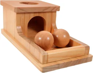 1 Set Wooden Ball for Box Early Educational Grasping Promotes Hand Coordination and Logical Thinking for Indoor Play