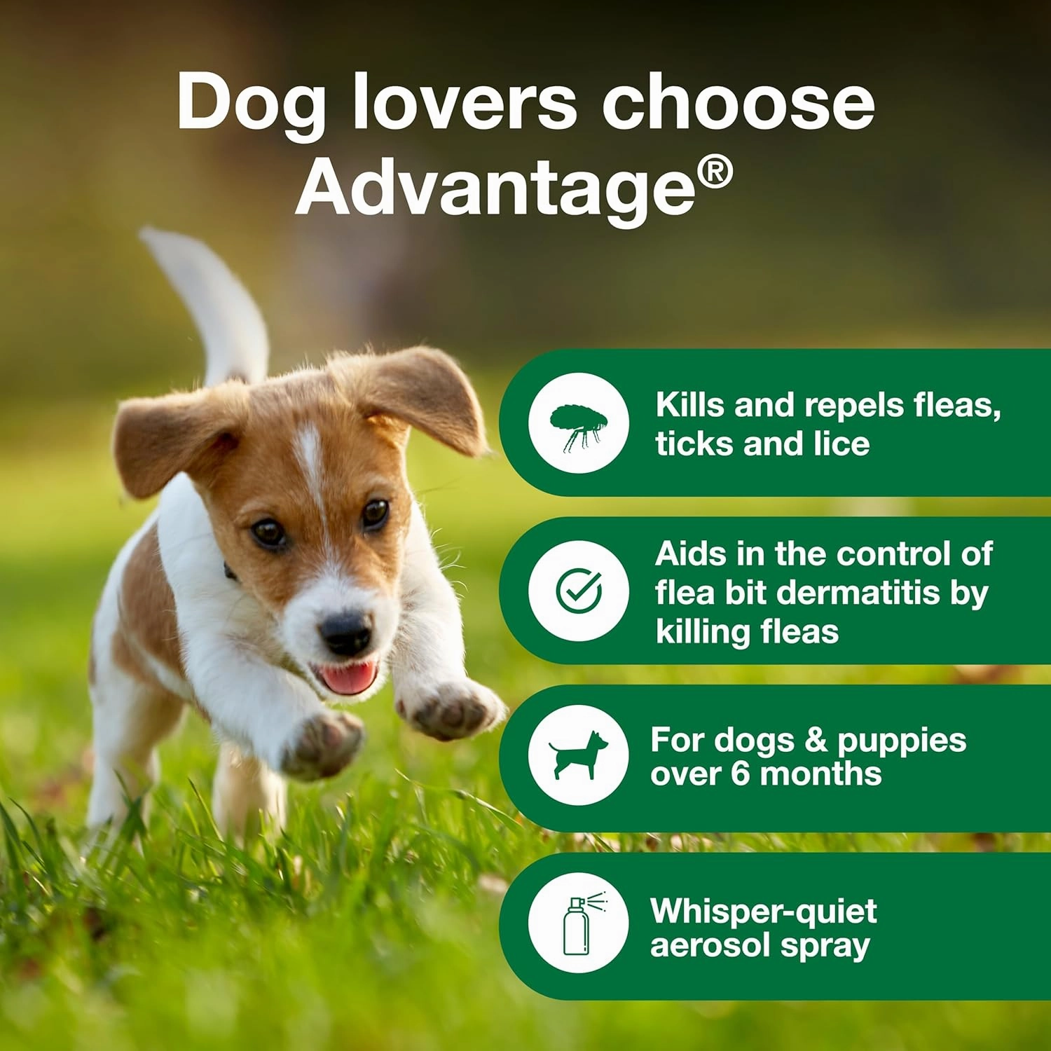 Advantage Dog Flea Treatment Spray | Kills Fleas & Ticks | Dog Flea Spray | 15 oz.