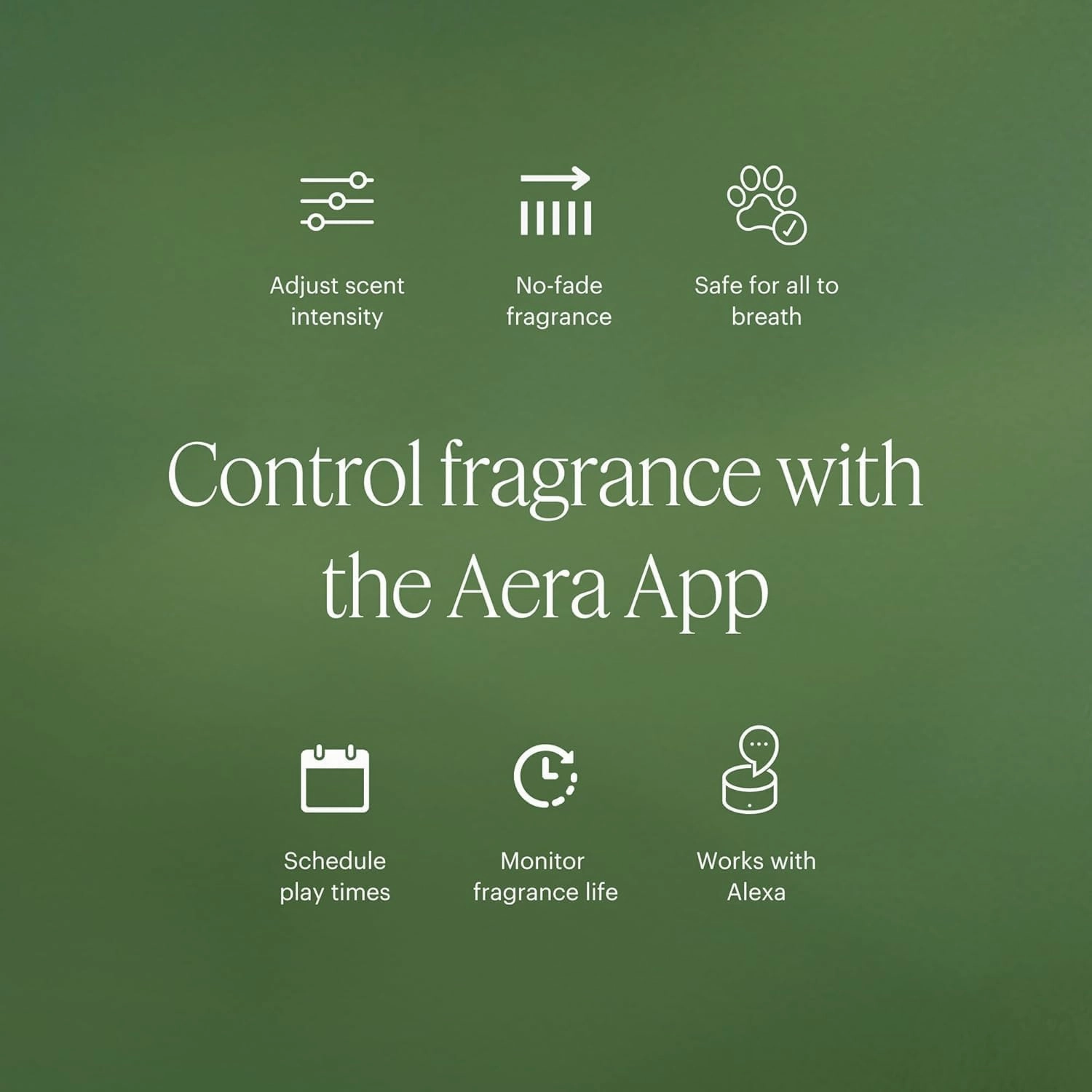 Aera Poetry - Essential Oil for Home – Smooth Suede and Violet Fragrance - Notes of Vetiver, Eucalyptus and Woods - Scent Refill - Works with the Aera Diffuser