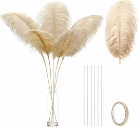 Ballinger Large Champagne Ostrich Feathers - 12pcs 24-26inch Feathers Making Kit Boho Feathers for Vase,Wedding Party Centerpieces and Home Decor