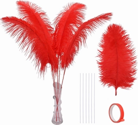 Ballinger Red Ostrich Feathers for Centerpieces - 12pcs 24-26inch Feathers Making Kit Extra Large Ostrich Feathers for Vase,Wedding Party and Home Decor