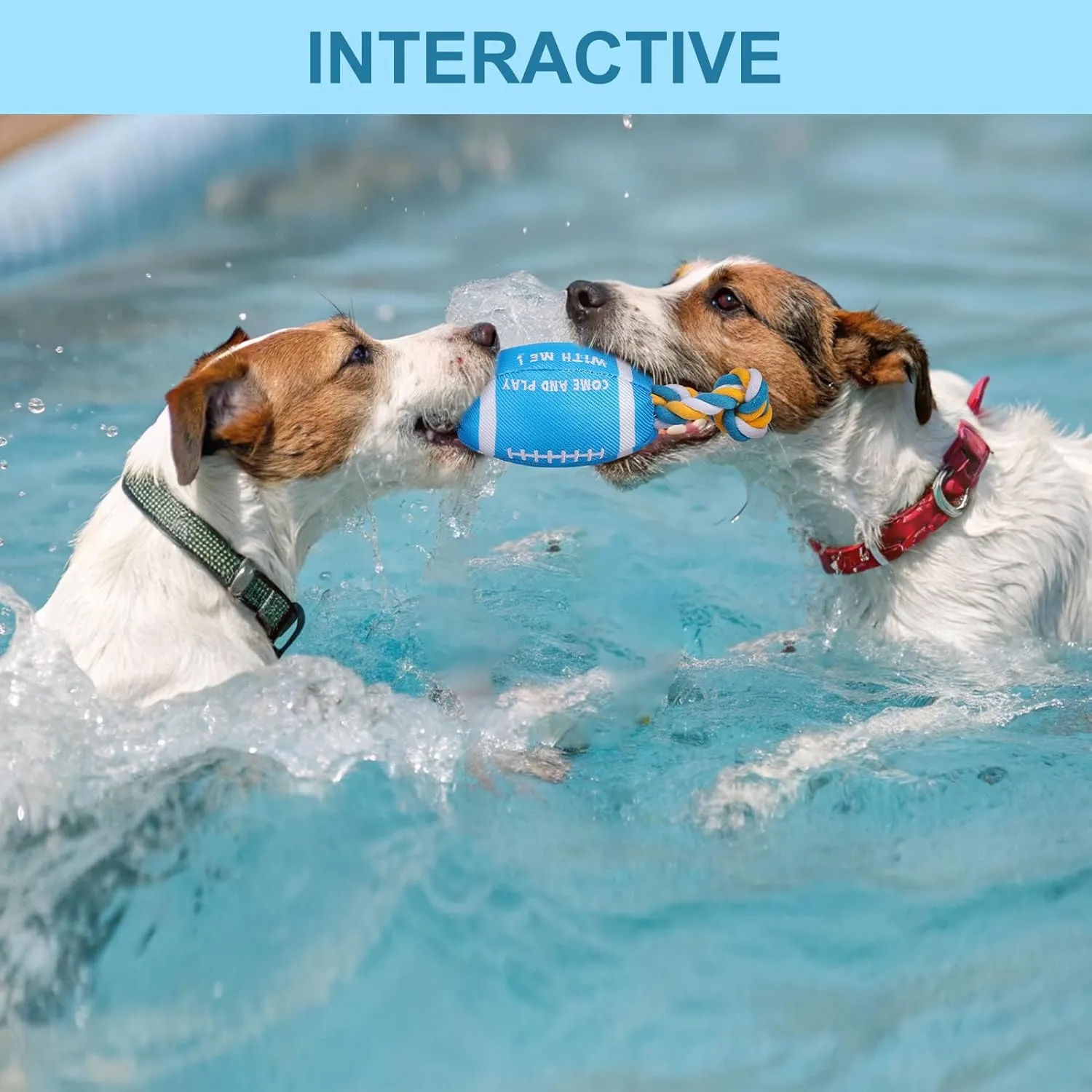BEAUTYZOO Floating Dog Pool Toys for Small/Medium Dogs - Durable Chew-Resistant Squeaky Water Dog Toy with Rope, Interactive Fetch & Tug of War, Summer Swimming Beach Play (Oxford Fabric)