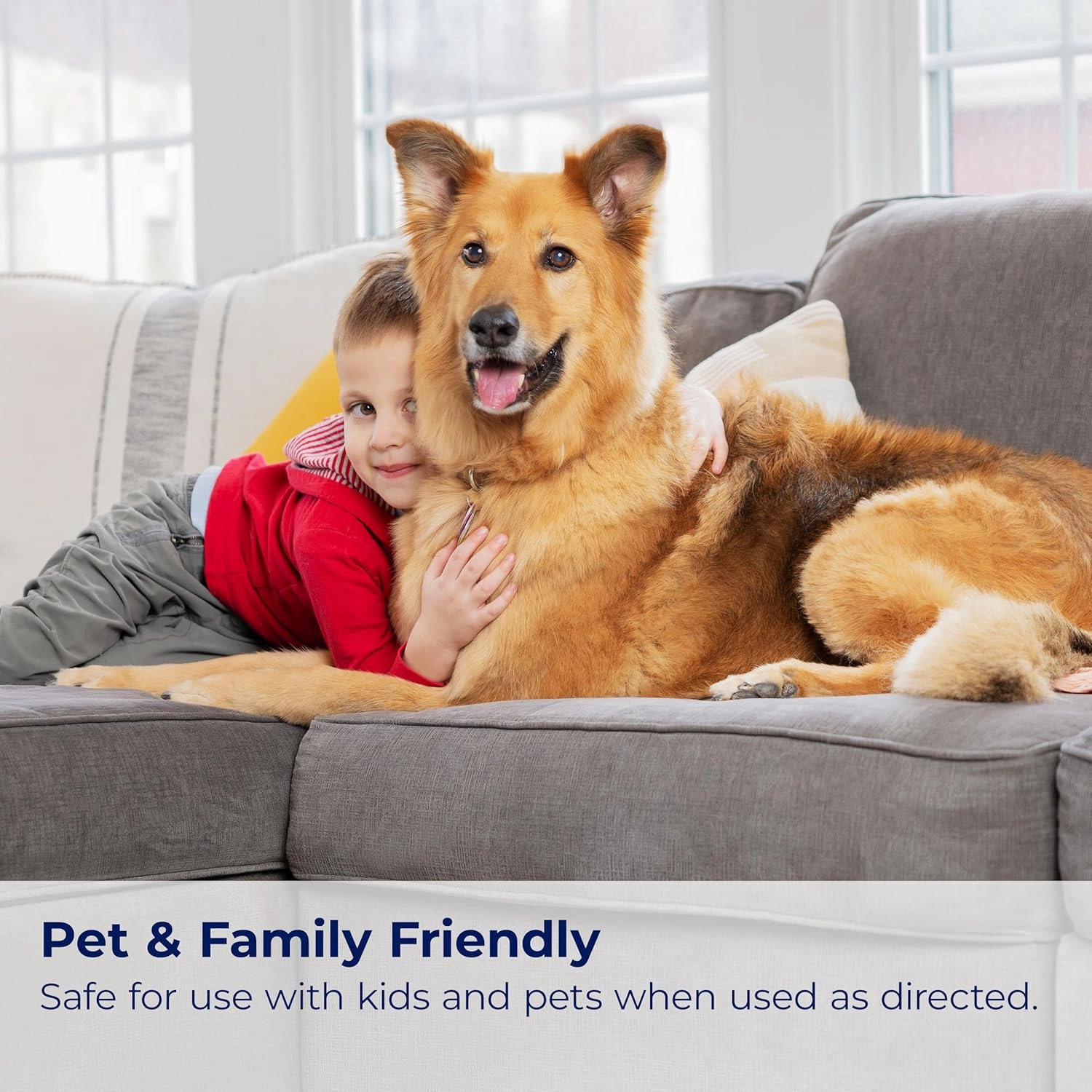 BISSELL InstaClean Oxy Pet Spot and Stain Remover with Brush Head, 4 pack, 17409