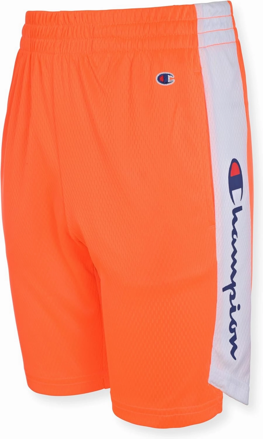Champion Boys Hertiage Script Mesh Short