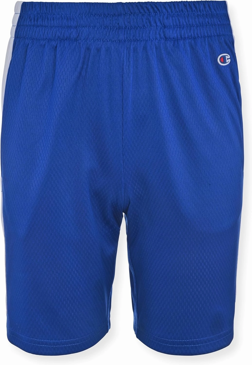 Champion Boys Hertiage Script Mesh Short