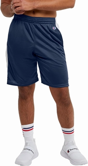 Champion Men's Shorts, Mesh Basketball Shorts, Sports Shorts For Men, Athletic Shorts, 10