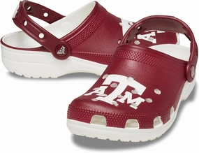Crocs Unisex-Adult Classic Collegiate Clogs