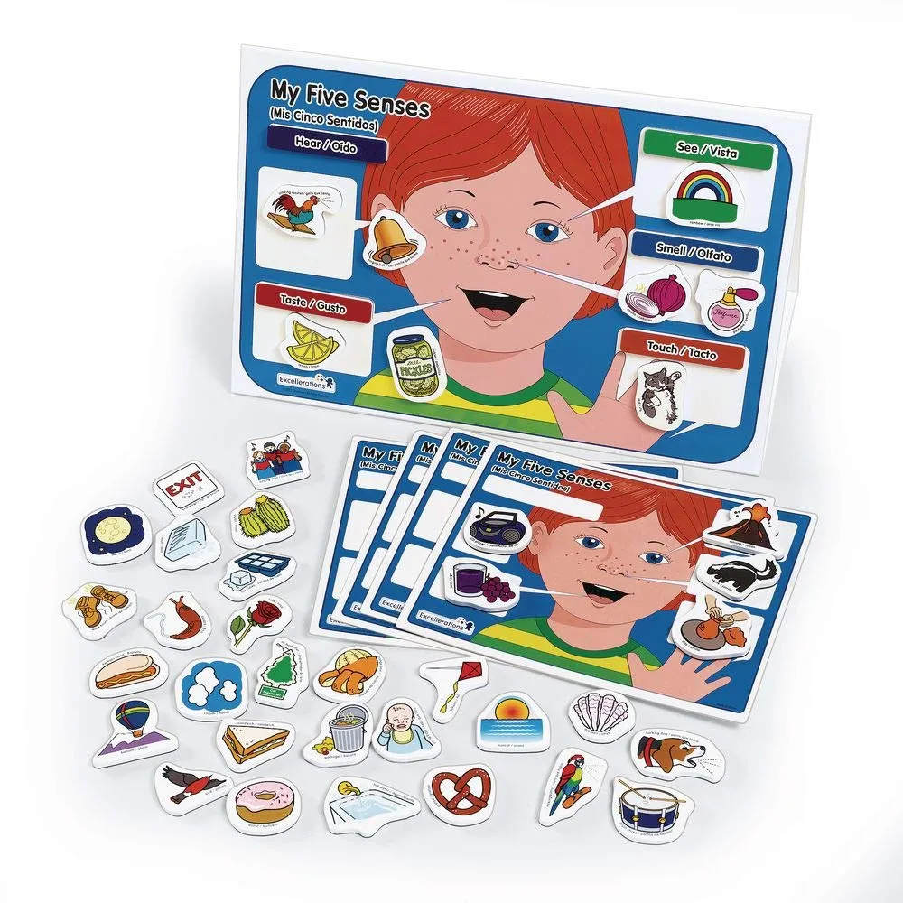 Excellerations My 5 Senses Magnetic Activity Set, 12 x 18 inches, Pack of 55, Educational STEM Toy, Preschool, Kids Toys