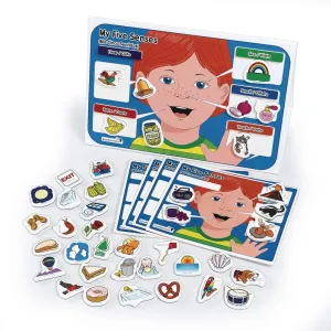 Excellerations My 5 Senses Magnetic Activity Set, 12 x 18 inches, Pack of 55, Educational STEM Toy, Preschool, Kids Toys