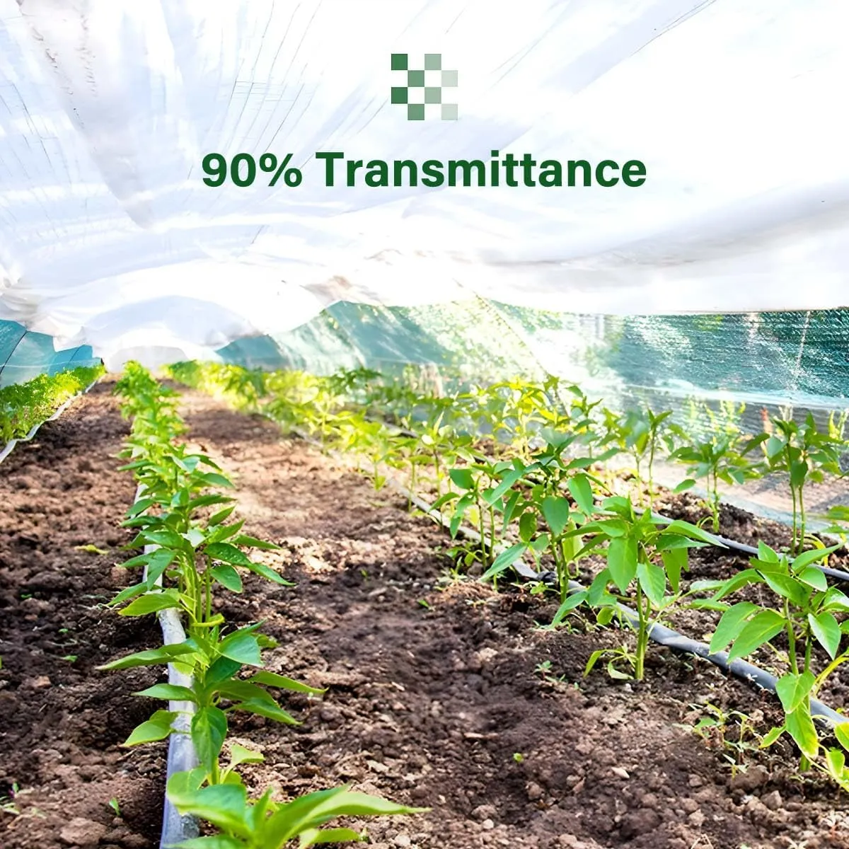 Greenhouse Plastic Sheeting 6 Mil, 10 x 15 FT Heavy Duty Clear Polyethylene Film for Greenhouses, High Light Transmission, Weatherproof, UV Resistant, Plastic Covering for Gardening, Farming