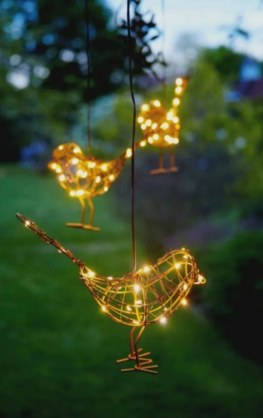 Hanging Robin Light, Set of 3