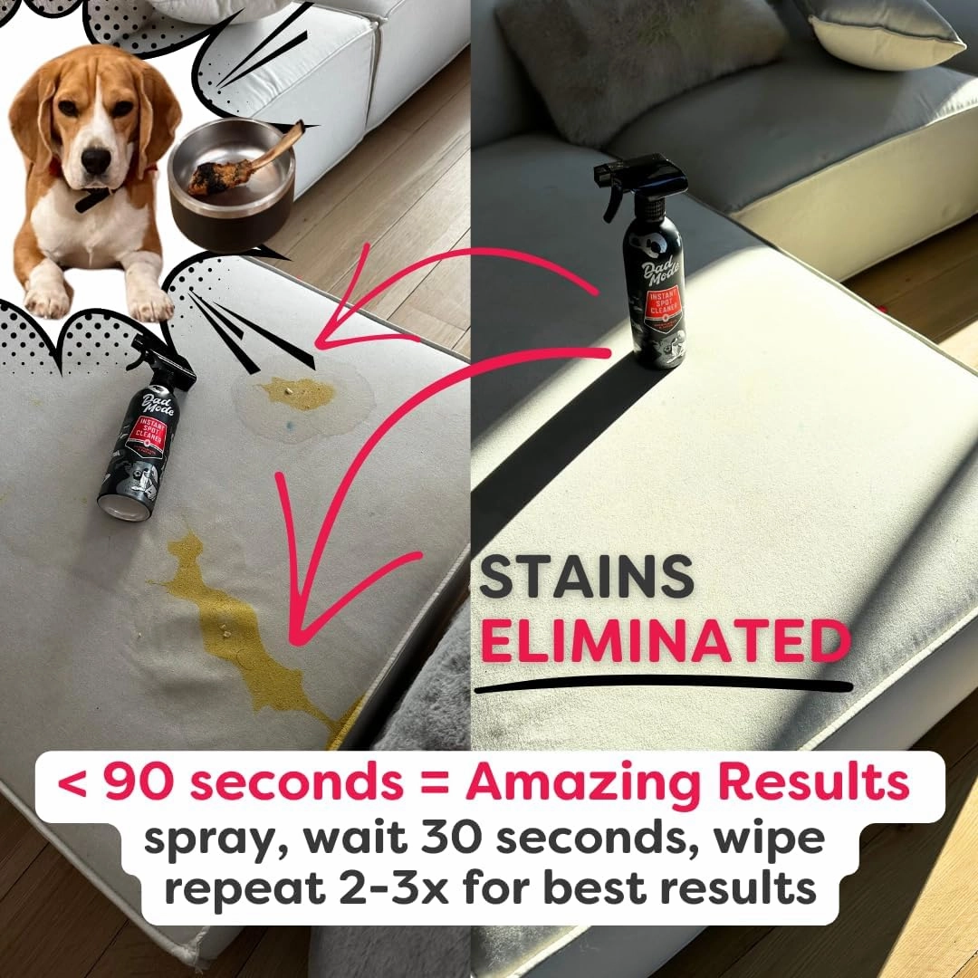 Home & Laundry Cleaning Set | Stain Remover, Laundry Detergent, Multi-Surface Cleaner, Carpet Cleaner | Sandalwood & Suede | 7-Enzyme Formulas | 2 Month Supply | 64 oz Refillable Aluminum