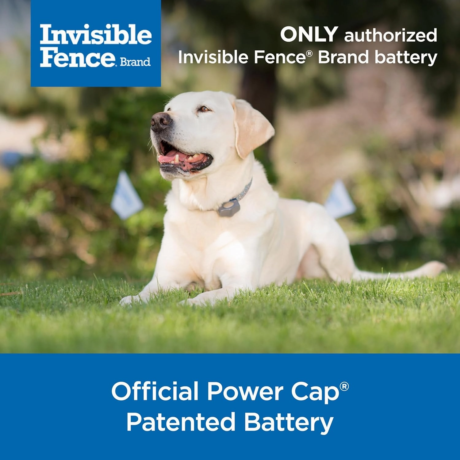 Invisible Fence Power Cap Battery (1 Pack) Electric Fence Battery Replacement Original IFB Product, Electric Collar for Dogs