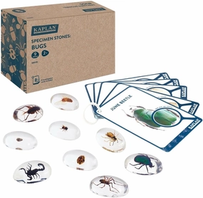 Kaplan Early Learning Specimen Stones: Bugs | 9 Piece Science Set for Toddlers Kids - Wasp, Bee, Butterfly, Ladybeetle, Scorpion, Cricket, Pill Bug, June Beetle & Spider