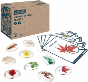 Kaplan Early Learning Specimen Stones: Plants | 9 Piece Science Set for Toddlers Kids - Rose, Rice, Fibrous Root, Taproot, Clover, Wheat, Maple Leaf, Daisy & Fern Frond