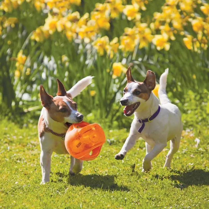 KONG Jumbler Ball - Interactive Dog Toy for Dog & Puppy Playtime - Fetch Toy with Tennis Ball - Dog Supplies for Engaging Play (Large/Extra Large)
