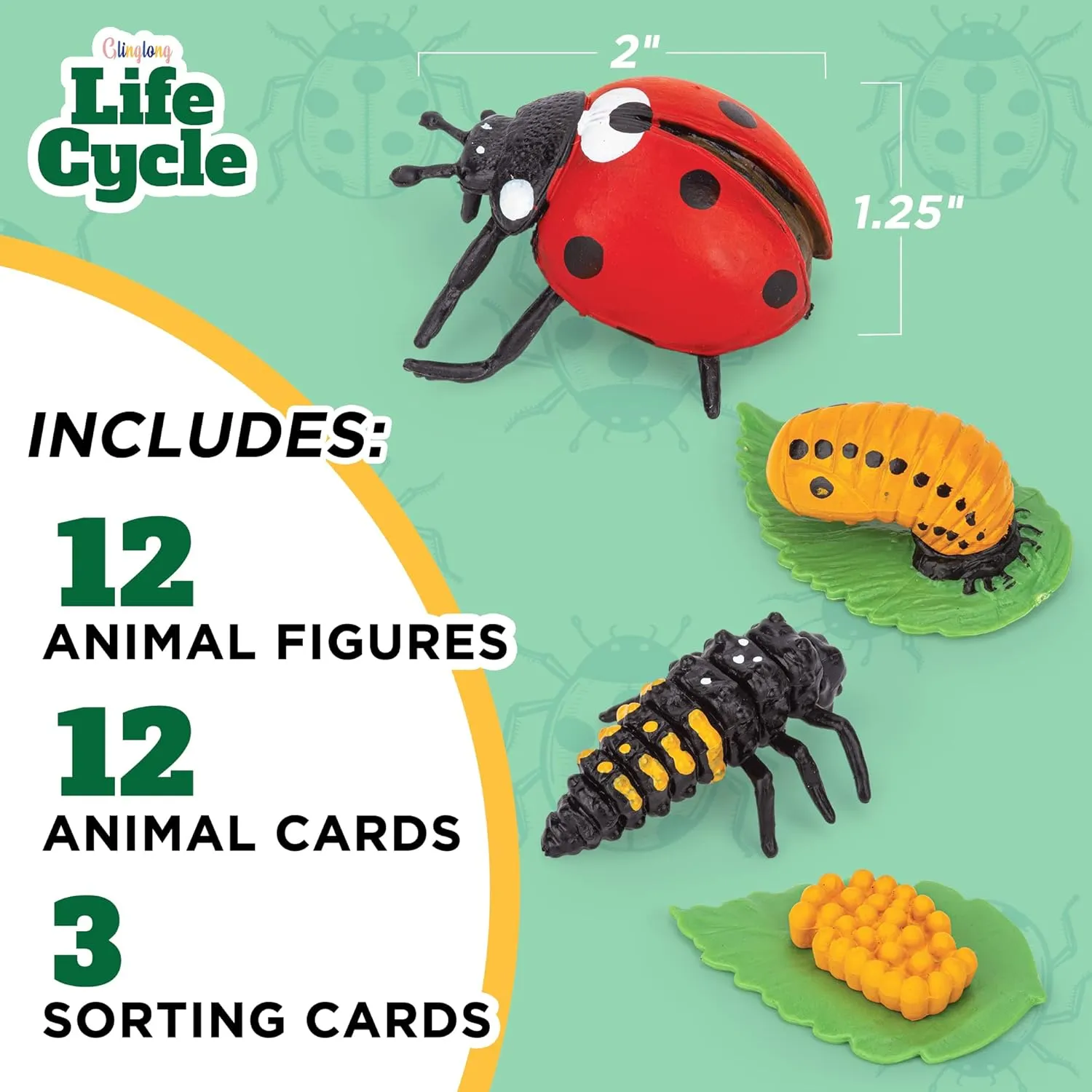 Life Cycle Animal Kit - 12-Piece Montessori Science Toy with Frog, Ladybug & Butterfly Figures. Matching Game & Educational Gift for Kids Ages 3 4 5 6 7 8