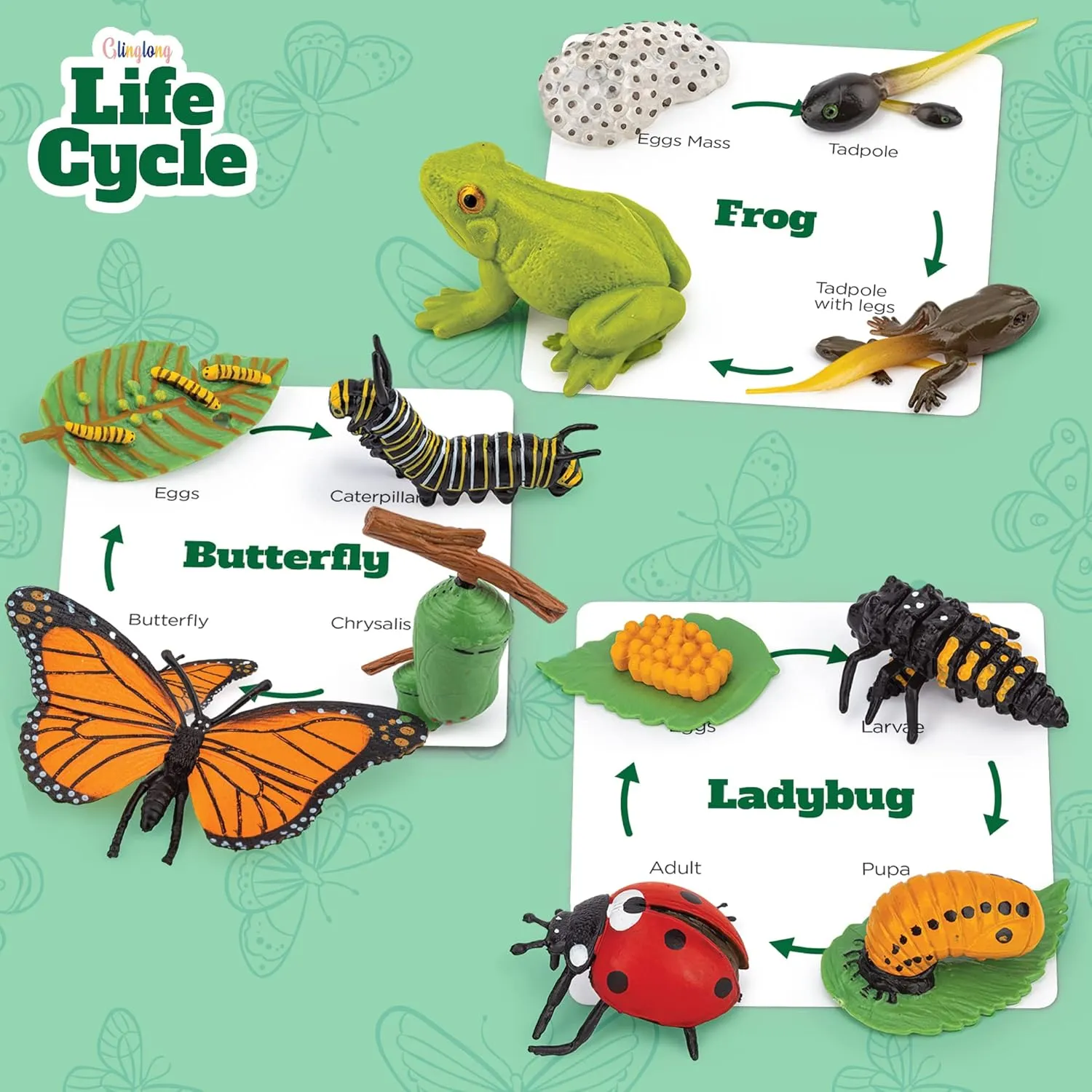 Life Cycle Animal Kit - 12-Piece Montessori Science Toy with Frog, Ladybug & Butterfly Figures. Matching Game & Educational Gift for Kids Ages 3 4 5 6 7 8