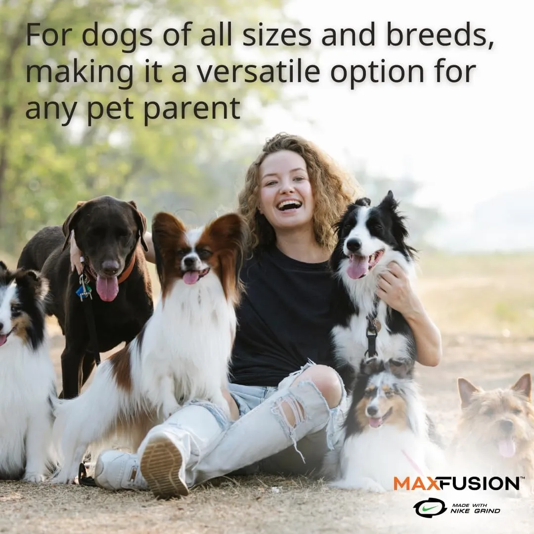 Max Fusion with Nike Grind, Arlee Weeble Treat Dispensing Dog Toy, Durable Dog Treat Toy, M