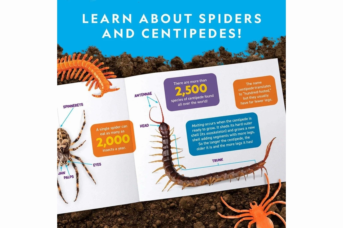 National Geographic Critter Molding Lab (Orange)