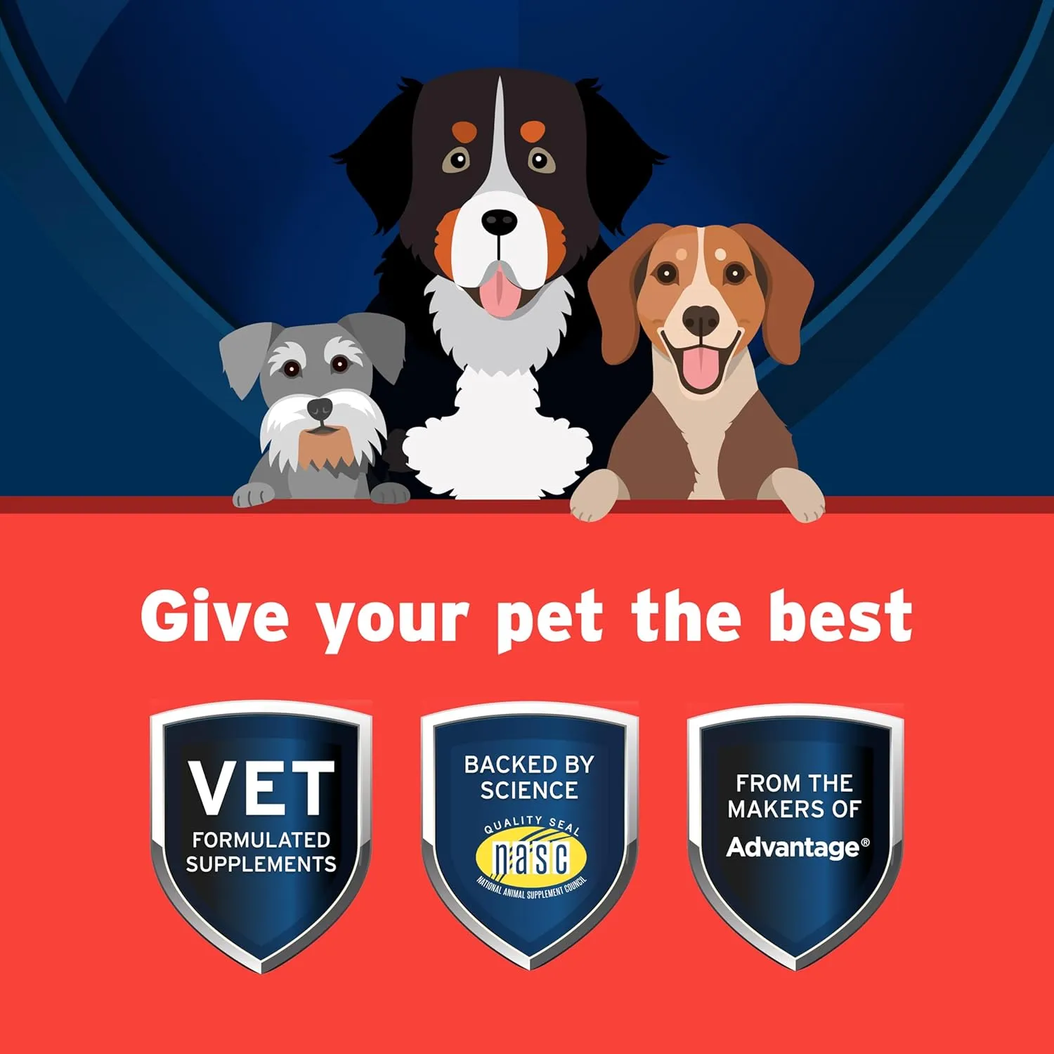 Pet Protect from The Makers of Advantage Vet-Formulated Hip & Joint Supplement for Dogs | 120 Chews