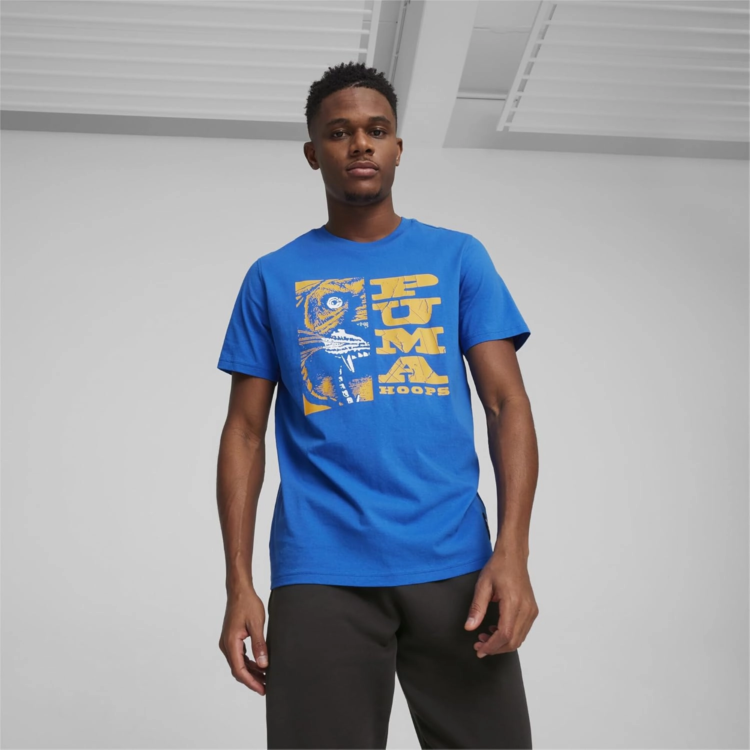 PUMA Men's Graphic T-Shirt (Available in Big and Tall Sizes)