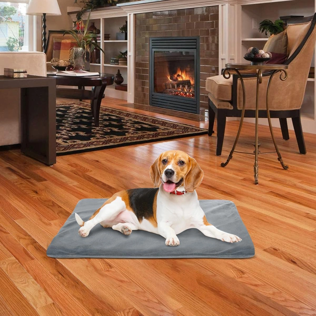 RIOGOO Pet Heating Pad, Upgraded Electric Dog Cat Heating Pad Indoor Waterproof, Auto Power Off (M: 18"x 18", Grey)