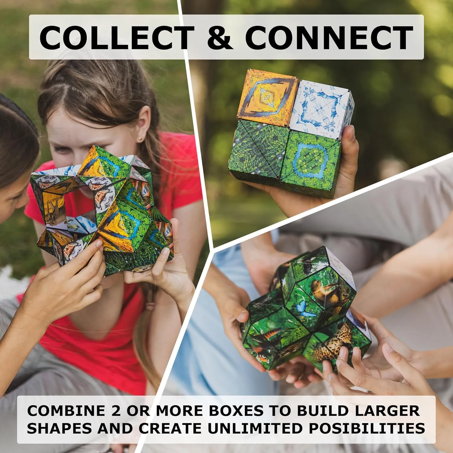 SHASHIBO Shape Shifting Box - Award-Winning, Patented Fidget Cube w/ 36 Rare Earth Magnets - Transforms Into Over 70 Shapes, Download Fun in Motion Toys Mobile App (Wild Series - Savannah)
