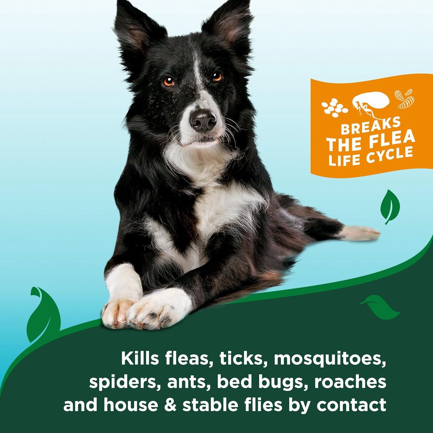 Vet's Best Flea & Tick Home Spray for Dogs – Cotton Spice Scent Dog Flea & Tick Aid – Made in The USA – Flea & Tick Home Spray – Flea Protection for Dogs – 32 oz, Pack of 2