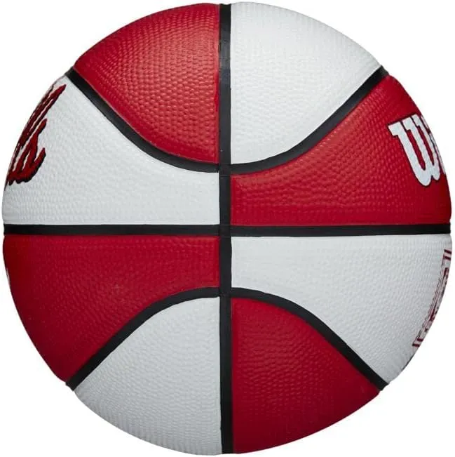 WILSON NBA Team Retro Mini Basketballs - Mini Size - 3"